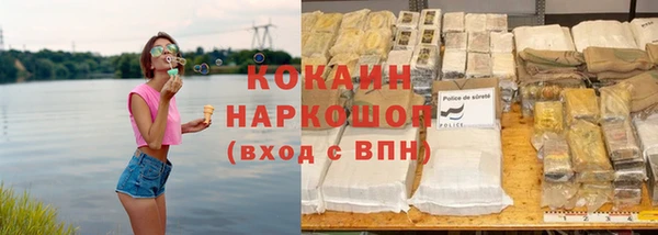 гидра Алексин