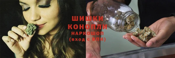 шишки Алексеевка