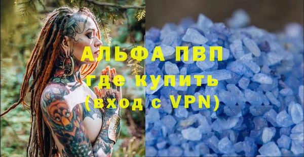 гидра Алексин