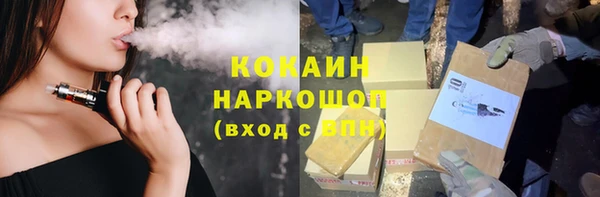 шишки Алексеевка