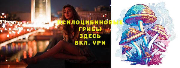 гидра Алексин