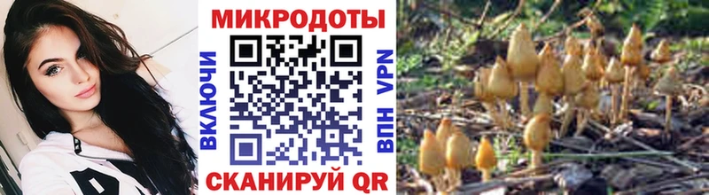 Галлюциногенные грибы прущие грибы Солнечногорск